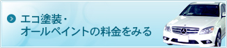 エコ塗装・オールペイントの料金をみる 