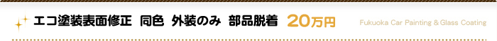 エコ塗装表面修正　　同色　外装のみ　部品脱着：20万円