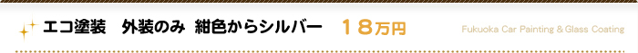 エコ塗装　外装のみ　紺色からシルバー　１８万円